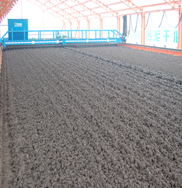 成都污水處理廠