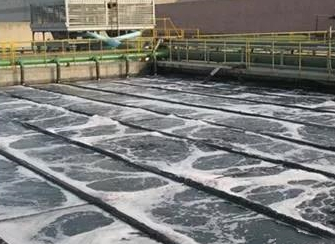 PH調(diào)整劑(堿性)：片堿